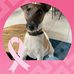 Mae Charles - Facebook