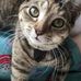 Mae-Lynne Chase - Facebook