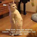Mae Chen - Facebook