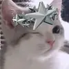 ChesterMae - @chestermae1 - TikTok