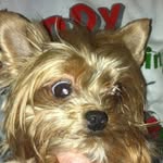 Mae Christopher Williams - @mcw1940 - Instagram