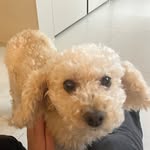 @maechunbuz - Instagram