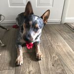 Terrie Mae Clarke - @terriemae03 - Instagram