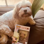 @dolly_mae_cleary - Instagram