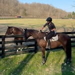 Molly Cleary - @molly_mae.equine - Instagram