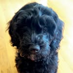 Randi Mae Cleary - @randimae.doodlebabe - Instagram