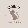MaecoCattery - @maecocats - TikTok