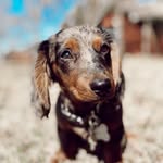 Magnolia Mae Cobb - @mylifeas_magnolia - Instagram