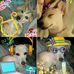 Ms Sadie Mae Cobb - Facebook