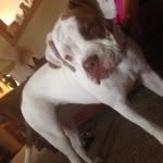 Maggie May Combs - @maggie_may_combs - Instagram
