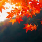 🌿Autum Conley🌿 - @maeconley03 - Instagram