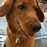 daisy - @daisy__mae__conley_ - Instagram
