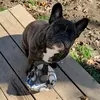 Mae Conley - @maec381 - TikTok