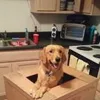 Mae Conrad - @maec.2620 - TikTok