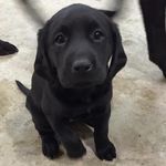 Cooper Mae - @cooper.mae - Instagram