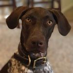 Magnolia Mae Cooper - @magnoliacthegsp - Instagram