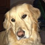Shasta Mae Cooper - @shastamcooper - Instagram