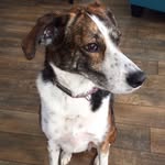 Daisy 🐾 - @daisymaecrabtree - Instagram