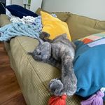 luna mae creech - @lunaboonatunagoona - Instagram