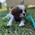 Maybell Creech - @princessmaybell_ - Instagram