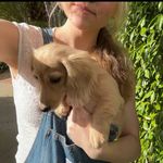 Gracie Mae - @_gracie.mae.crowell_ - Instagram