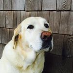 Nelly Mae Crowe - @nellymaecrowe - Instagram