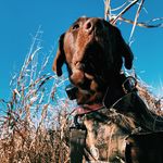 Sadie Mae Lowe-Crowe - @sadiemae2416 - Instagram