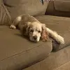 Alli Mae Dailey - @allimaedailey - TikTok