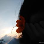 Daisy Mae - Facebook