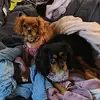 mae_decker - @mae_decker - TikTok