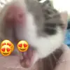 sophie - @sophie.maedecker - TikTok
