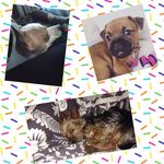 Molly-Mae Dickson - @photographer_anything_anytime - Instagram
