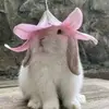 molly - @mollymaedodd - TikTok