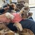 Cheryl Mae Elliott-Dodson - Facebook
