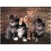 Mae Dumont - Facebook