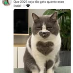 Mae Dumont - @dumont_mae - Instagram
