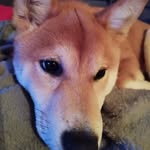 Maedumont - @maedumont9 - Instagram