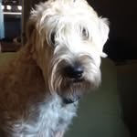 Maggie May Dutton - @mommy.maggie - Instagram