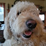 Phil McCrackin - @maggie_mae_eckert - Instagram