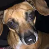 Mae Fuller - @maefuller48 - TikTok