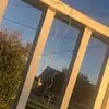 Mae Fuller - @maefuller - TikTok