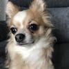 daisymaegarland200 - @daisymaegarland20 - TikTok