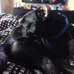 Birdie Mae Garrison - @birdiemae116 - Instagram