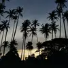 MG - @maegeee - TikTok
