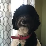 Lola_Mae_Glover - @lola_mae_glover - Instagram