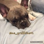 Mae - @mae_griffiths01 - Instagram