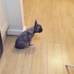Mae - @mae_griffiths1 - Instagram