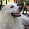 maegriffiths10 - @user08551227 - TikTok