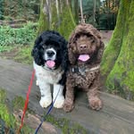 Gunnison + Lilly Mae - @gunnisonandlillymae - Instagram