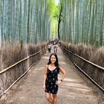 Mae Hamm | Girl Mama | Life with Ragdoll Cats | Entrepreneur - @mae.hamm - Instagram